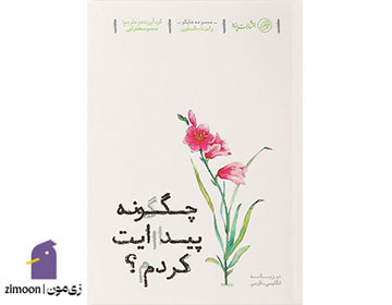 چگونه پیدایت کردم اثر رابرت جانسون