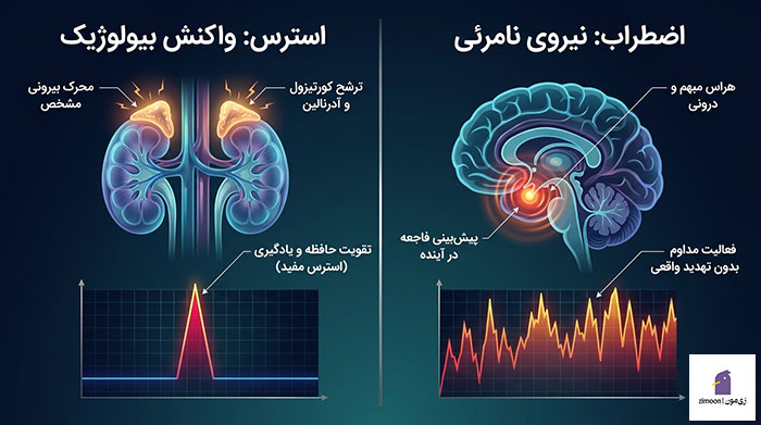 بهترین کتاب برای درمان اضطراب