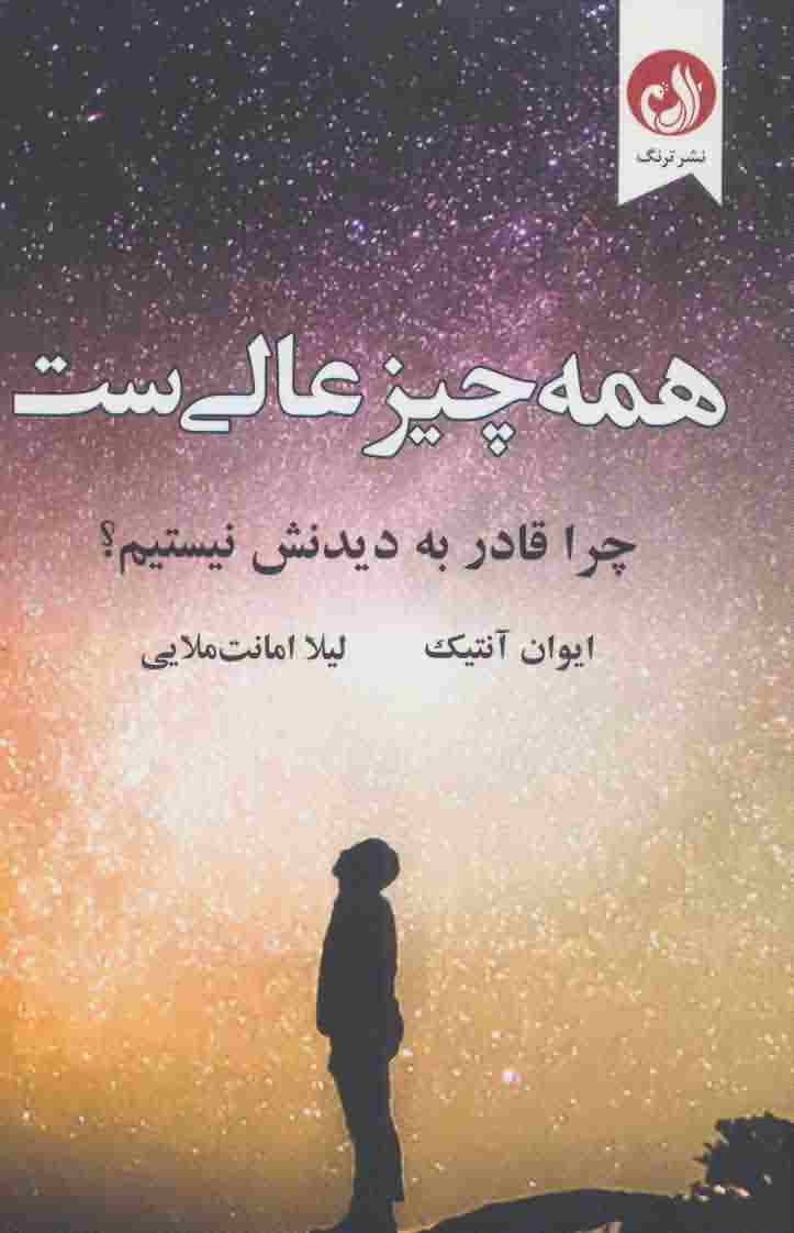 همه چیز عالی ست (چرا قادر به دیدنش نیستیم)