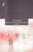 چتری که باد برد