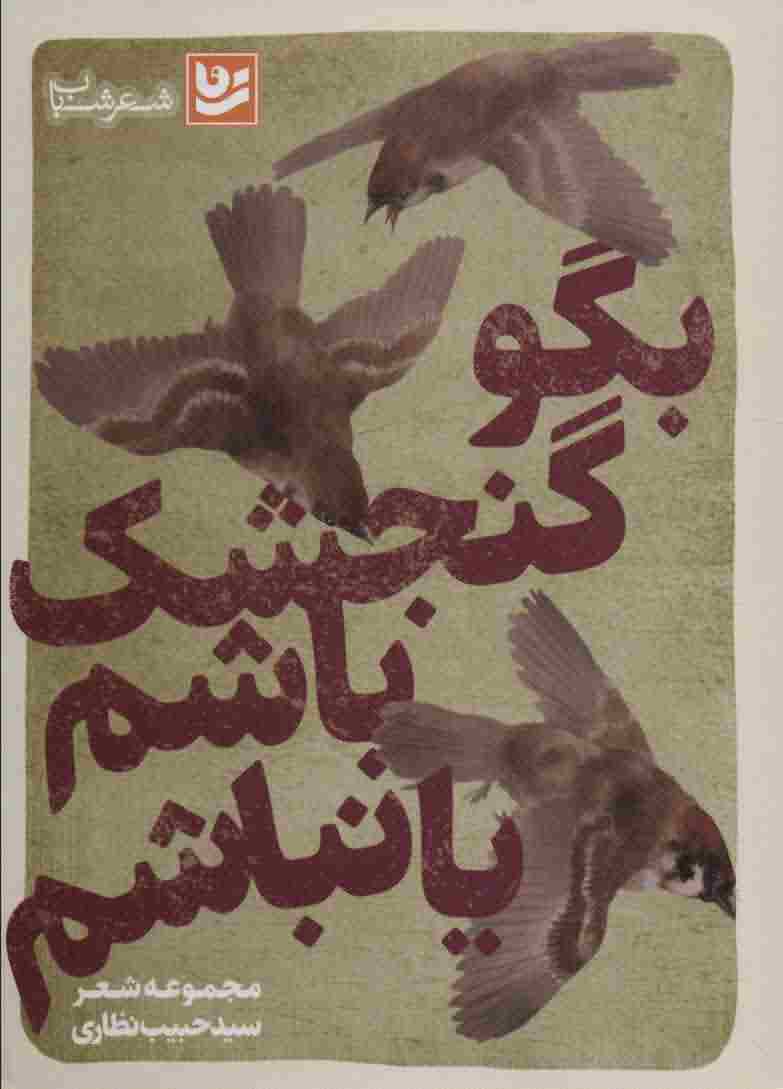 بگو گنجشک باشم یا نباشم (شعر شباب29)