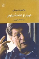 دورتر از شاخه نیلوفر 