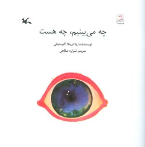 چه می بینم  چه هست
