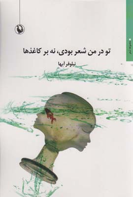 تو در من شعر بودی  نه بر کاغذ ها (مجموعه شعر)