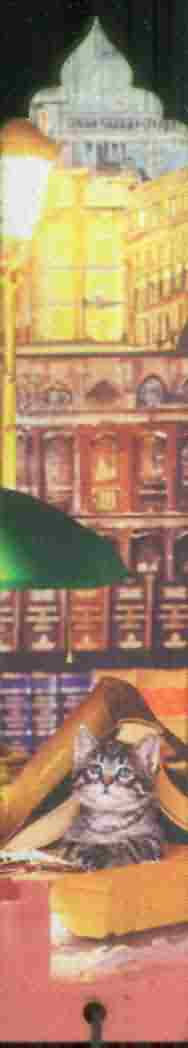 مجموعه نشانه کتاب (بوک مارک  کد N62 (3عددی چوبی))
