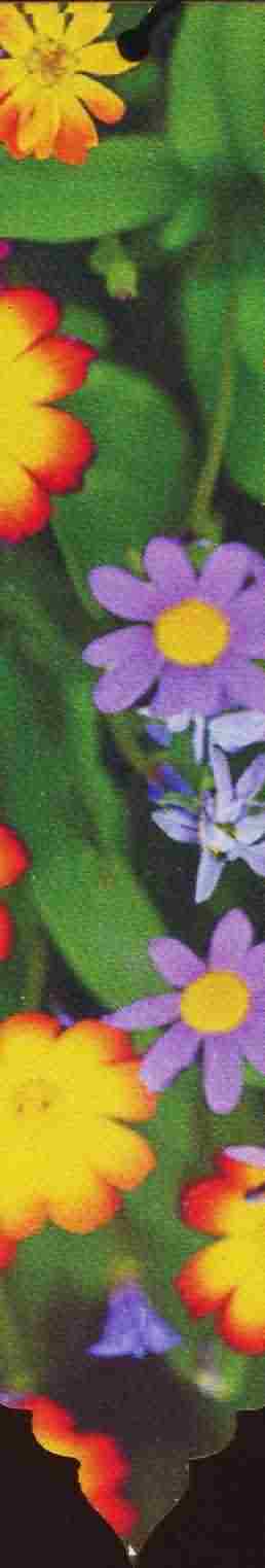 مجموعه نشانه کتاب (بوک مارک  کد N98 (3عددی چوبی))