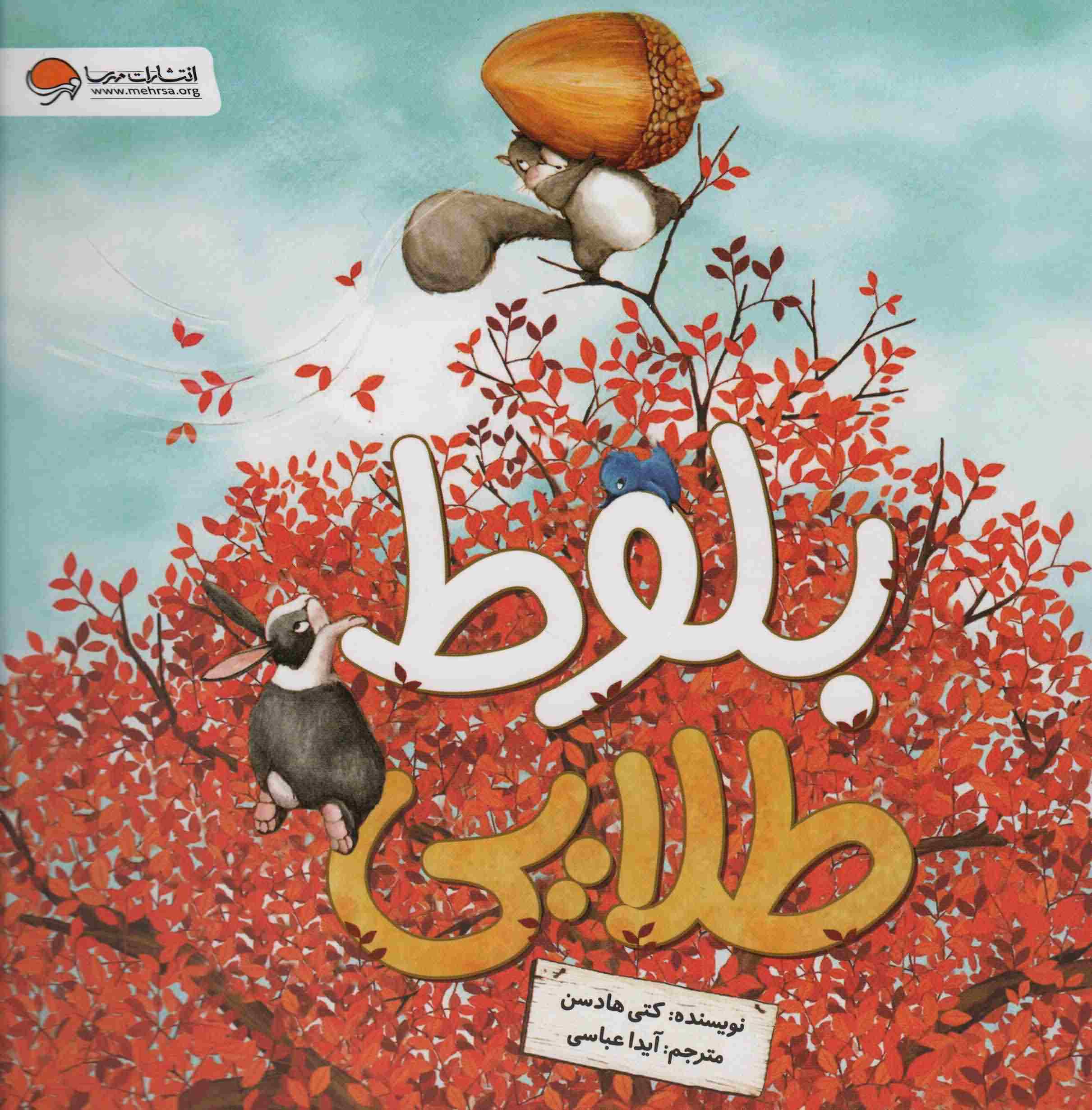 بلوط طلایی 