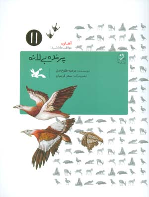 آهای  مواظب ما باشید11 (پرنده بی لانه)
