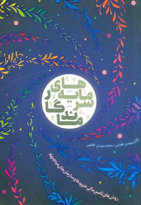 سرمایه های ماندگار (روش های تامین مالی خیریه ها و سازمان های مردم نهاد)