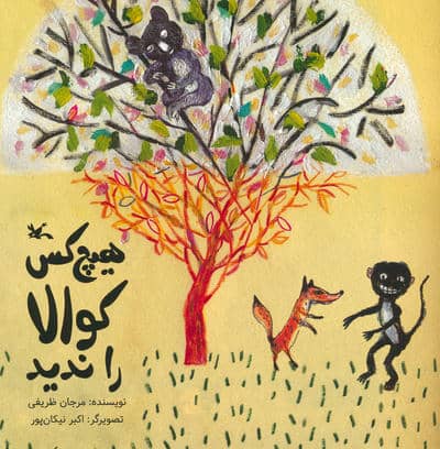 هیچ کس کوالا را ندید