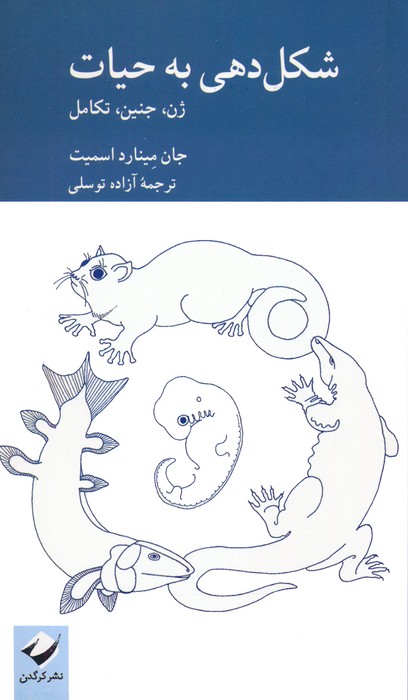 شکل دهی به حیات