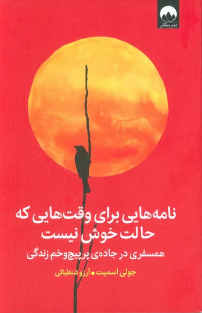 نامه هایی برای وقت هایی که حالت خوش نیست (همسفری در جاده ی پرپیچ و خم زندگی)  