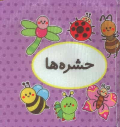 اولین کتاب تصویری من (حشره ها)  (2زبانه)