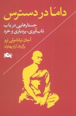 داما در دسترس (جستارهایی در باب تاب آوری  بردباری و خرد)