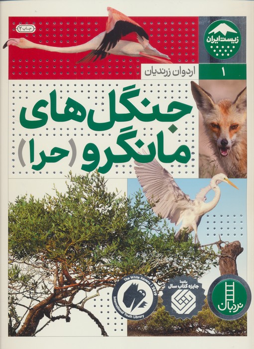 جنگل های مانگرو (حرا)  (زیست ایران 1)