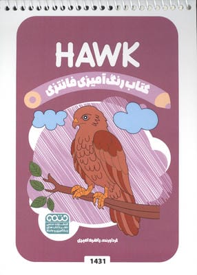 کتاب رنگ آمیزی فانتزی (طرح HAWK  کد 1431)  (سیمی)