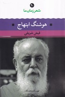 هنر و ادب ایران (سلسله های تاریخ ایران)