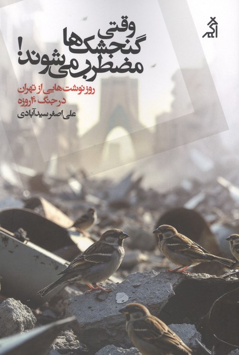 وقتی گنجشک ها مضطرب می شوند (روزنوشت هایی از تهران در جنگ 40 روزه)