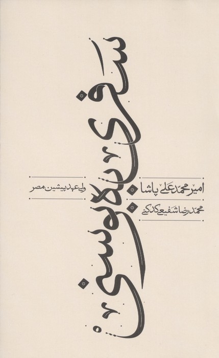 سفری به بوسنی 