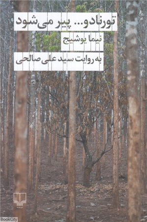 تورنادو پیر می شود (نیما یوشیج به روایت سید علی صالحی)