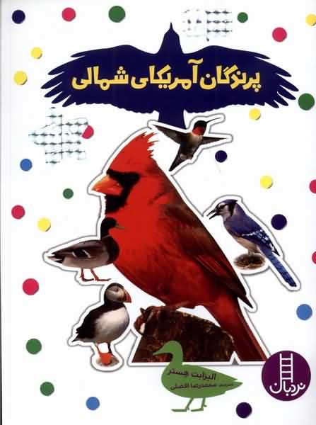 بچسبان  و  بیاموز 18پرندگان   آمریکای شمالی