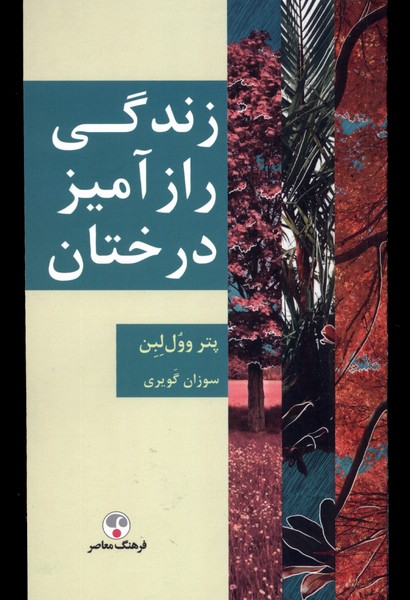 زندگی راز آمیز درختان