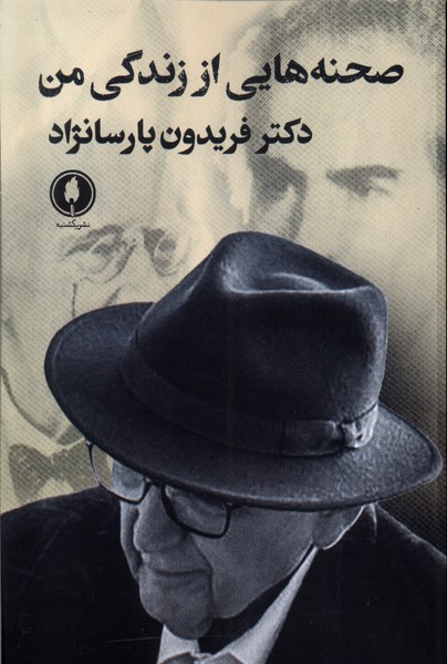 صحنه هایی از زندگی من 