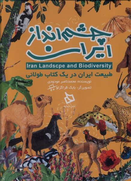 چشم انداز ایران