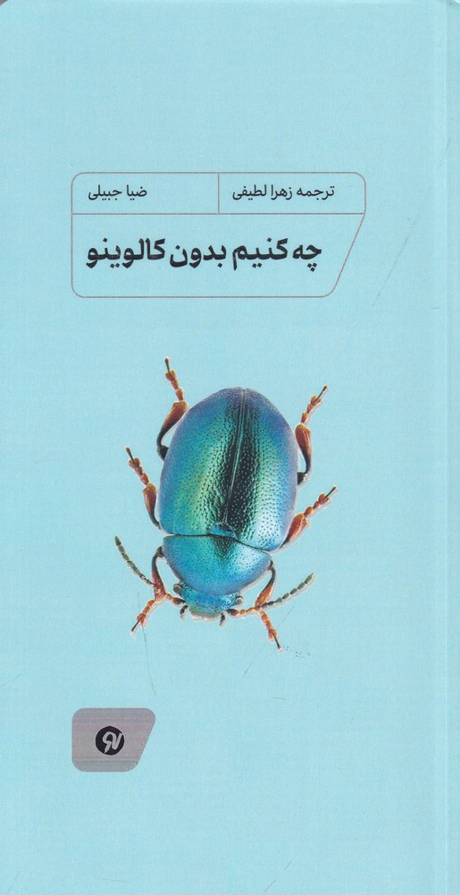 چه کنیم بدون کالوینو