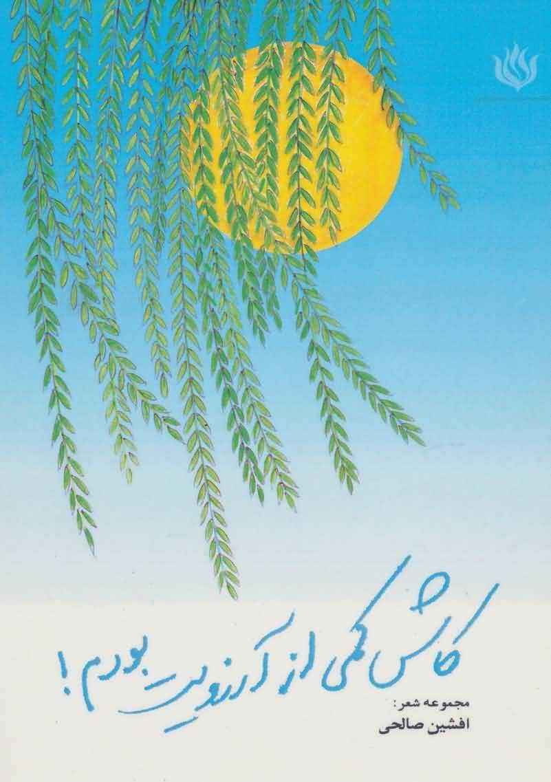 کاش کمی از آرزویت بودم (مجموعه شعر)