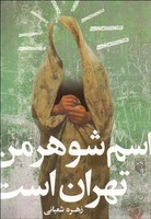 اسم شوهر من تهران است