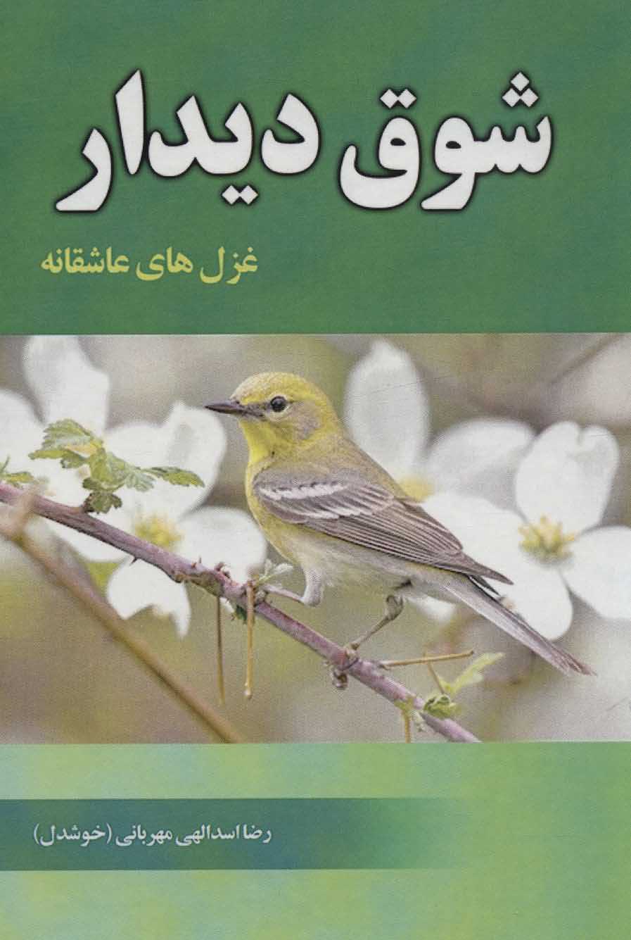 شوق دیدار   غزل های عاشقانه