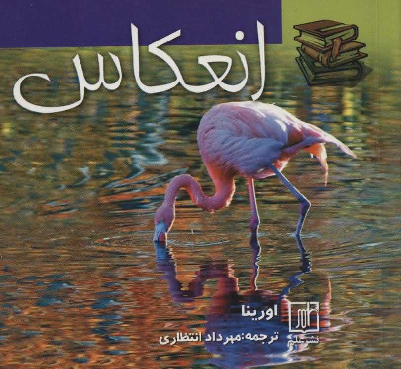انعکاس   2زبانه