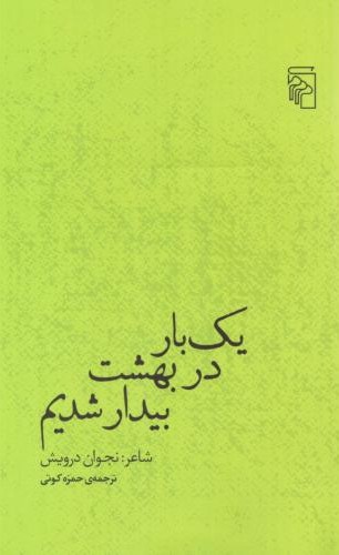 یک بار در بهشت بیدار شدیم