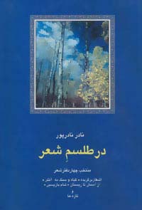 در طلسم شعر 