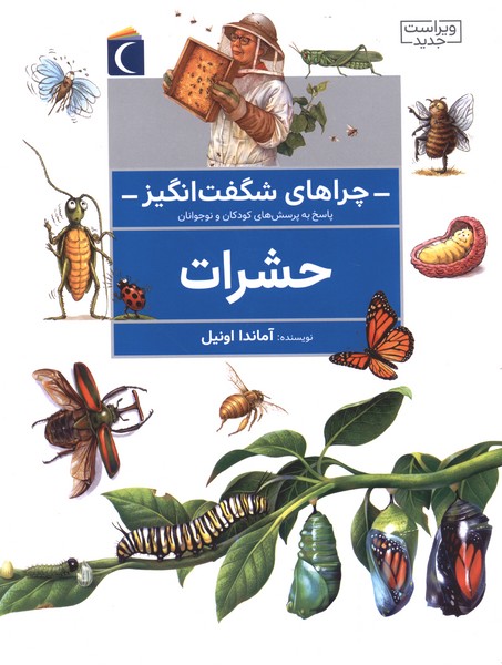 چراهای شگفت انگیز حشرات