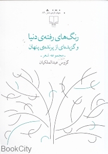 رنگ های رفته دنیا و گزیده ای از پرنده پنهان (مجموعه شعر)