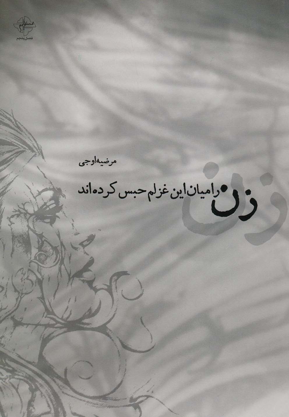 زن را میان این غزلم حبس کرده اند