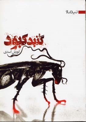 گنبد کبود  13