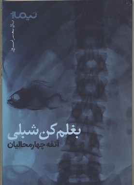 پازل شعر امروز بغلم  کن شبلی