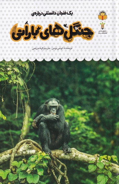 یک فنجان دانستنی درباره ی 33  جنگل های بارانی