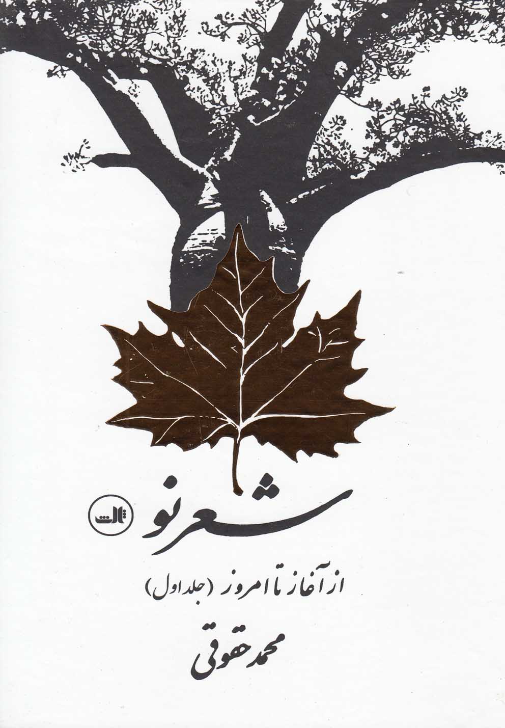 شعر نو از آغاز تا امروز(2جلدی)
