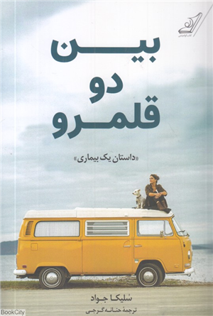 بین دو قلمرو (داستان یک بیماری)