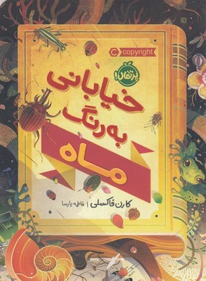 خیابانی به رنگ ماه 