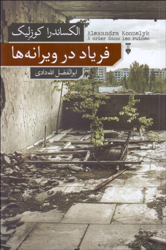 فریاد در ویرانه ها