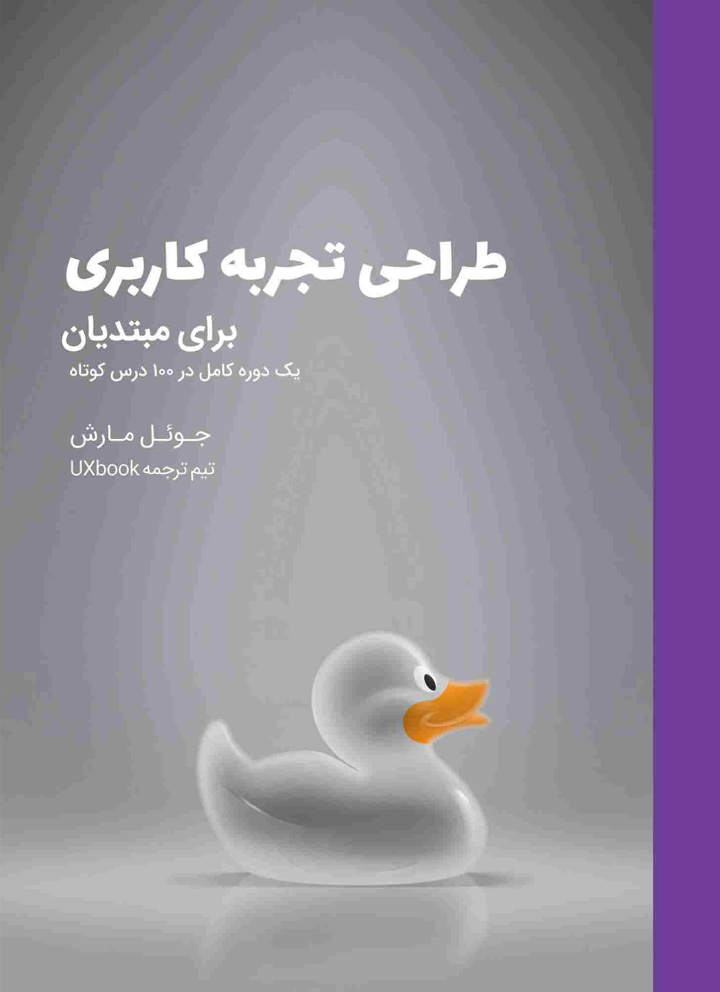 طراحی تجربه برای مبتدیان (یک دوره کامل در 100 درس کوتاه)