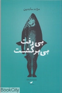 بی رفت بی بر گشت داستان کوتاه 
