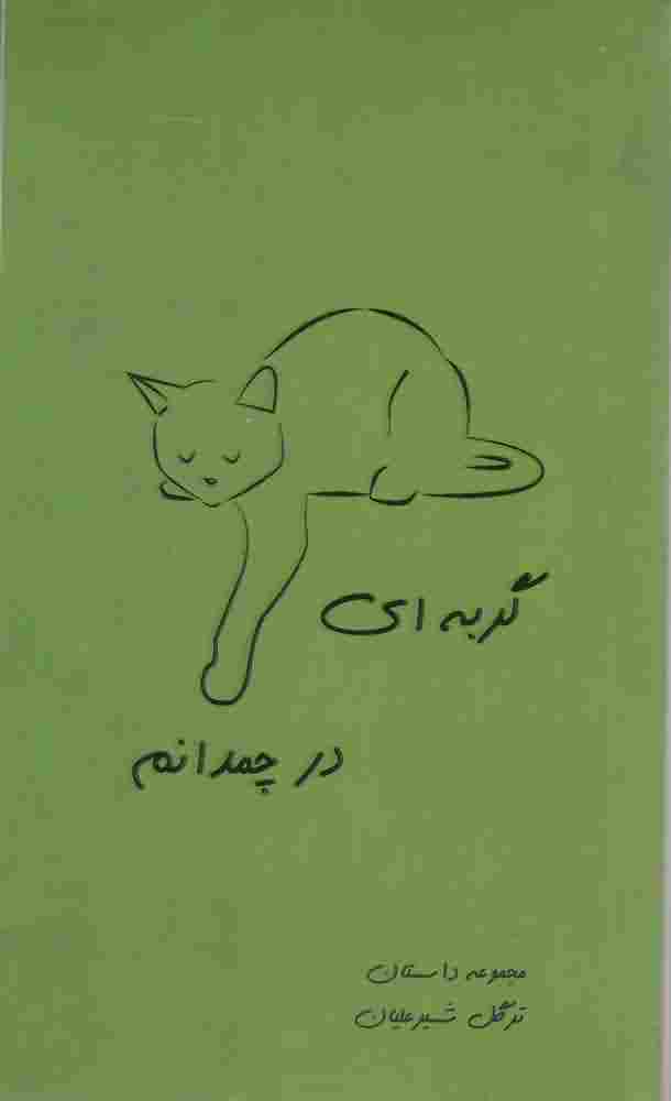 گربه ای در چمدانم