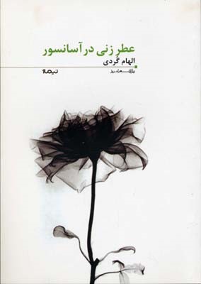 پازل شعر امروز 118 عطر زنی در آسانسور