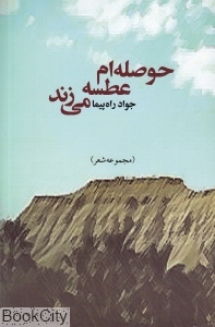حوصله ام عطسه می زند (مجموعه شعر)